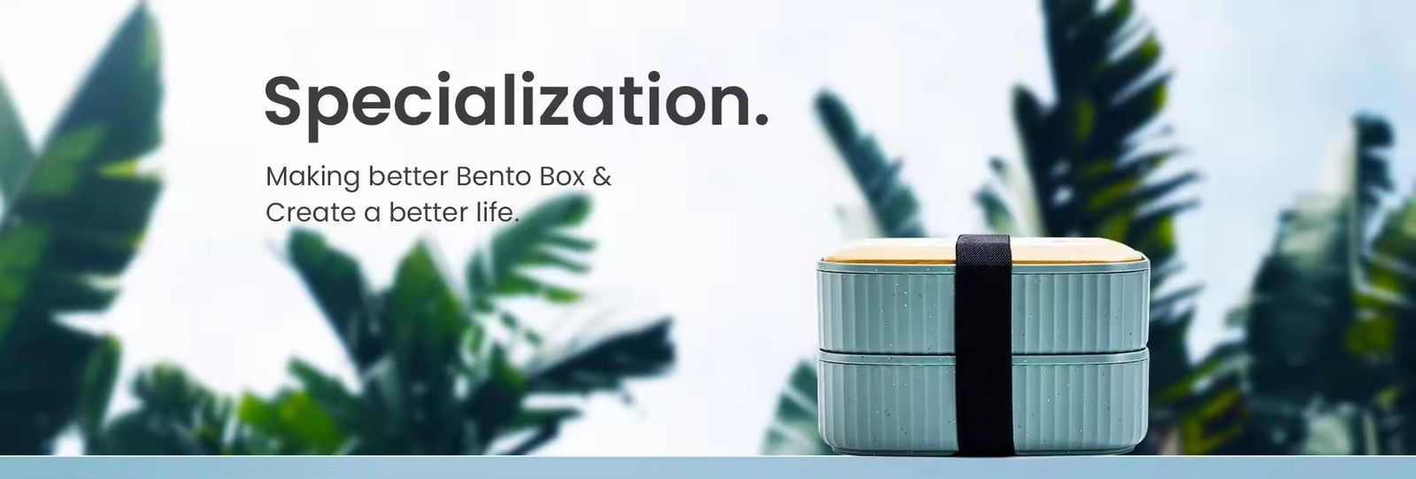 gamelle de bento