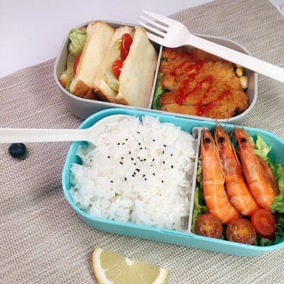 Kid Friendly Eco Plastic BPA Free Lunch Box with Cutlery in 2 Layer Storage Container