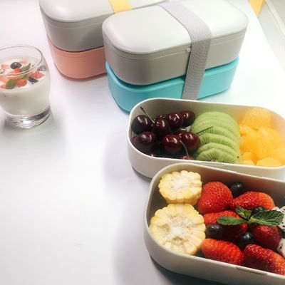 Kid Friendly Eco Plastic BPA Free Lunch Box with Cutlery in 2 Layer Storage Container