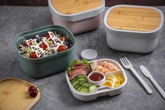 Microwavable 2 in 1  Food Grade Square Salad Bowl with Inner Tray and Sauce Jar