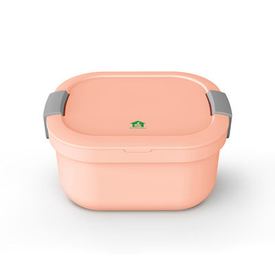 BPA Free Plastic Salad Fruit Bowl Container for Lunch 5 Compartment Box